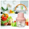 41zdovfyAoL1-256x300 Electric Garlic And Onion Chopper Cutter Crusher